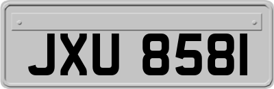 JXU8581