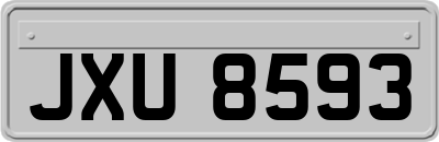 JXU8593