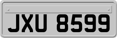 JXU8599
