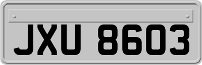 JXU8603