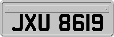 JXU8619