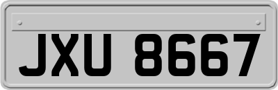 JXU8667