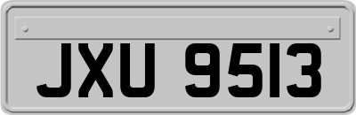 JXU9513