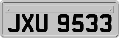 JXU9533