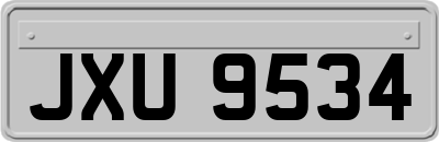 JXU9534