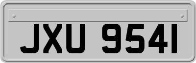 JXU9541