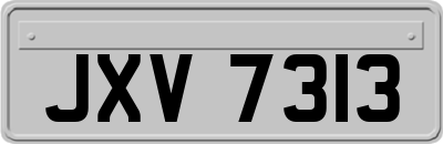 JXV7313