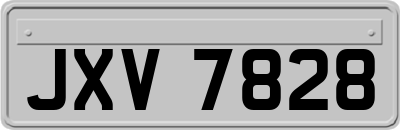 JXV7828