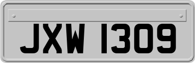 JXW1309