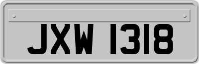JXW1318
