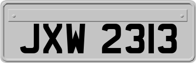JXW2313