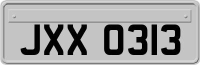 JXX0313