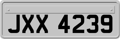 JXX4239