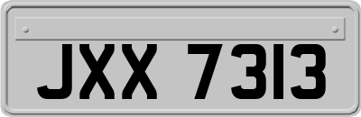 JXX7313