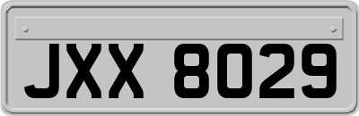 JXX8029