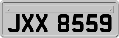 JXX8559