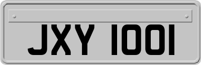 JXY1001