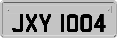 JXY1004