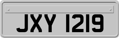 JXY1219