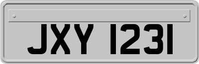 JXY1231