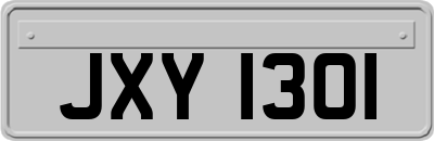 JXY1301