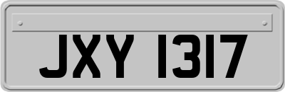 JXY1317