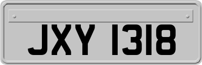 JXY1318