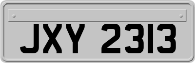 JXY2313