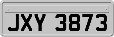 JXY3873