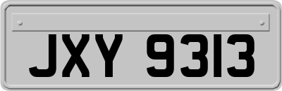 JXY9313