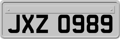 JXZ0989