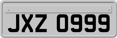JXZ0999