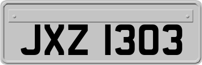 JXZ1303