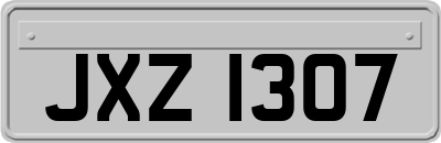 JXZ1307