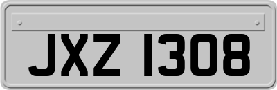 JXZ1308