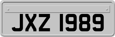 JXZ1989