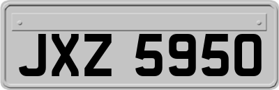 JXZ5950