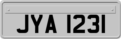 JYA1231