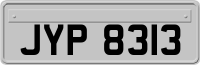 JYP8313