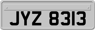 JYZ8313