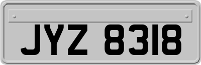 JYZ8318