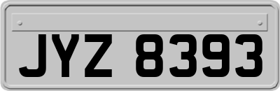 JYZ8393