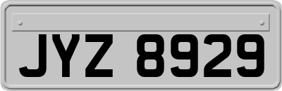 JYZ8929