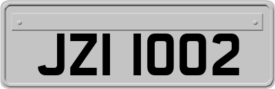 JZI1002