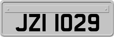 JZI1029