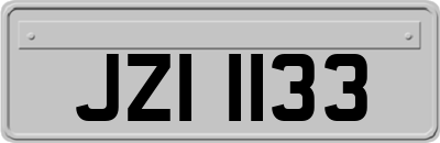 JZI1133