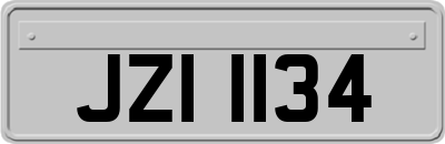 JZI1134