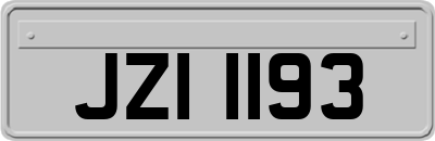 JZI1193