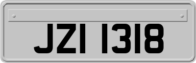 JZI1318