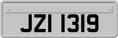 JZI1319